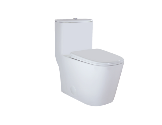 MJ5019-One Piece Toilet Elongated Floor Mounted