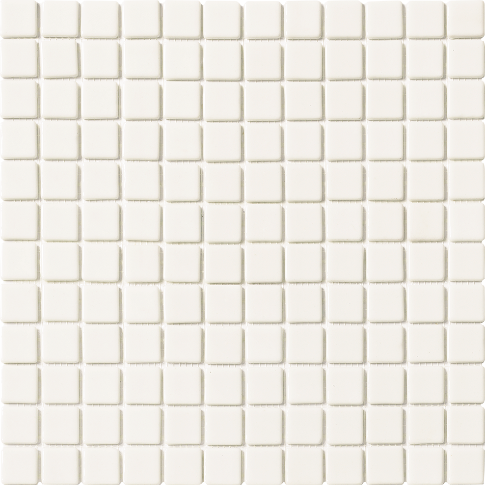 Solid White 1x1